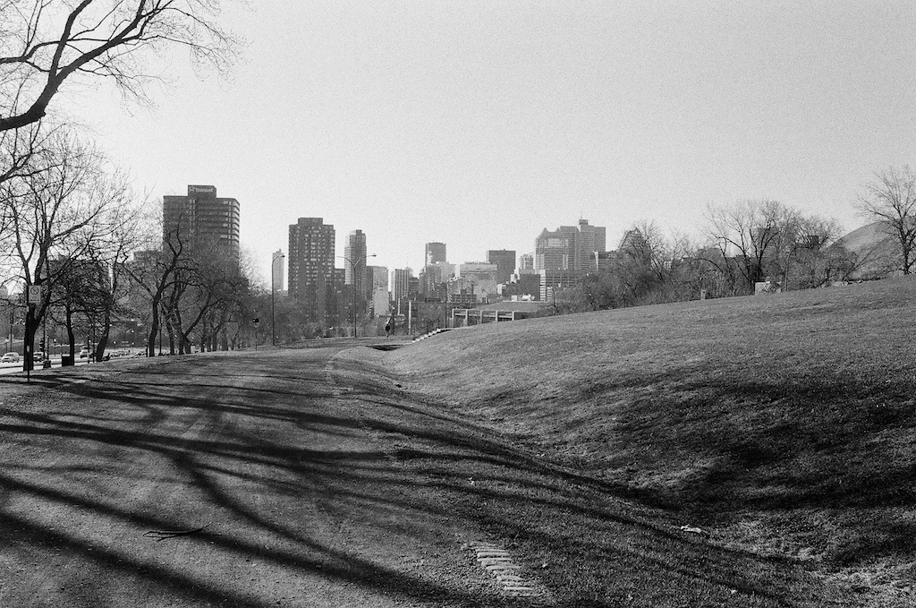 A Walk In The Morning Sun